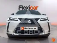 2022 Lexus UX250