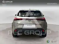 2022 Lexus UX250