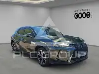 2022 Lexus UX250