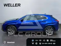 2022 Lexus UX250