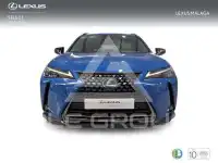 2022 Lexus UX250