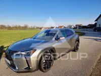 2022 Lexus UX250