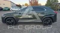 2022 Lexus UX250