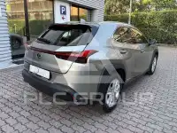 2022 Lexus UX250