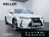 2022 Lexus UX250