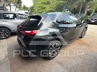 2022 Lexus UX250