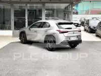 2022 Lexus UX200