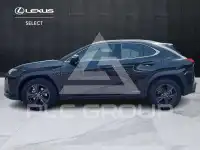 2022 Lexus UX200