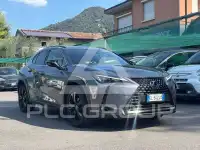 2022 Lexus UX200