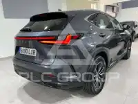 2022 Lexus NX300