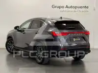 2022 Lexus NX300