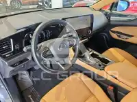 2022 Lexus NX300