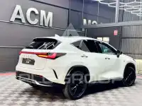 2022 Lexus NX300