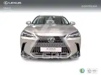 2022 Lexus NX300