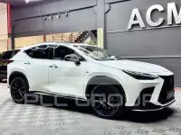 2022 Lexus NX300