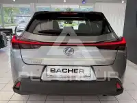2022 Lexus UX250