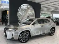 2022 Lexus UX250