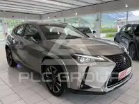 2022 Lexus UX250