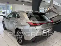2022 Lexus UX250