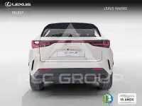 2022 Lexus NX250