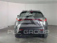 2022 Lexus NX250