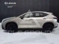 2022 Lexus NX250