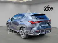 2022 Lexus NX250