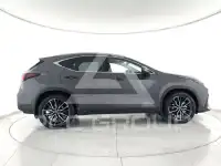 2022 Lexus NX250