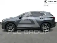 2022 Lexus NX250