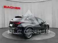2022 Lexus NX250