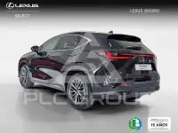 2022 Lexus NX250