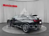 2022 Lexus NX250