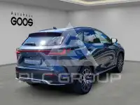 2022 Lexus NX250
