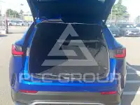 2022 Lexus NX250