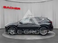 2022 Lexus NX250