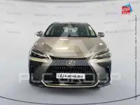 2022 Lexus NX250