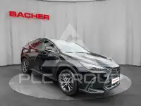2022 Lexus NX250