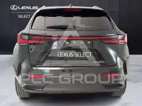 2022 Lexus NX250
