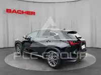 2022 Lexus NX250