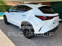 2022 Lexus NX250