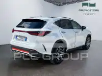 2022 Lexus NX250