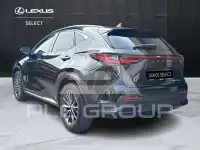 2022 Lexus NX250