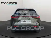 2022 Lexus NX250