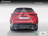 2022 Lexus NX250