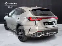 2022 Lexus NX250