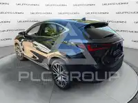 2022 Lexus NX250