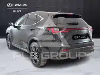 2022 Lexus NX250