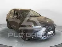 2022 Lexus NX250