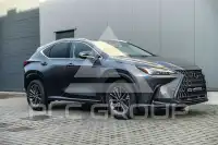 2022 Lexus NX250