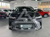 2022 Lexus NX250